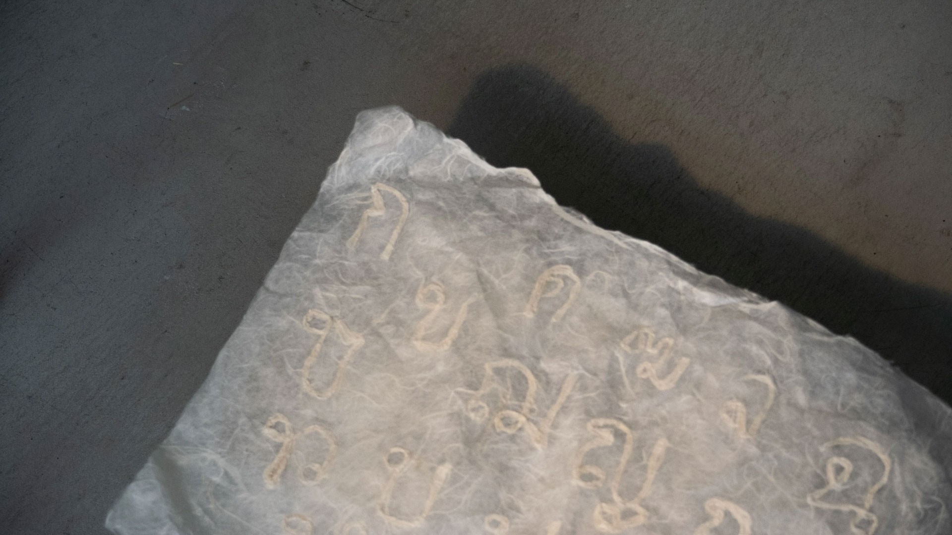 Thai Script on Washi／2024／コウゾから和紙を漉き､繊維へと解体される前のコウゾを用いてタイ文字を書いた｡